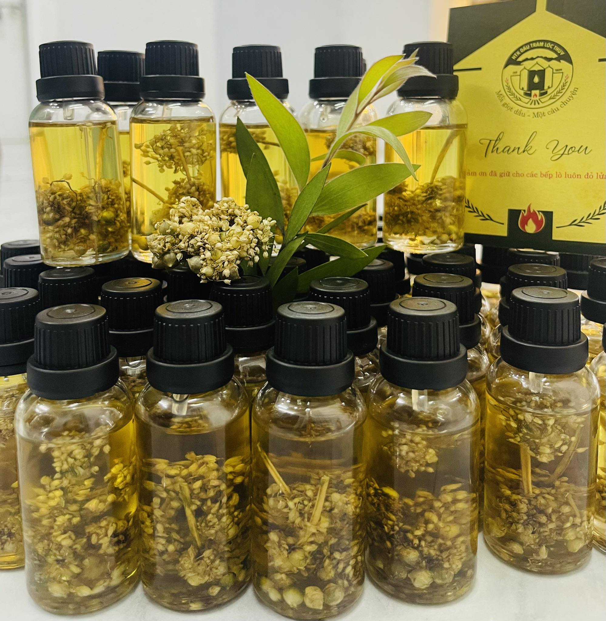 Tinh dầu tràm - Hợp Tác Xã Sản Xuất, Chế Biến, Dịch Vụ Dầu Tràm Xã Lộc Thủy